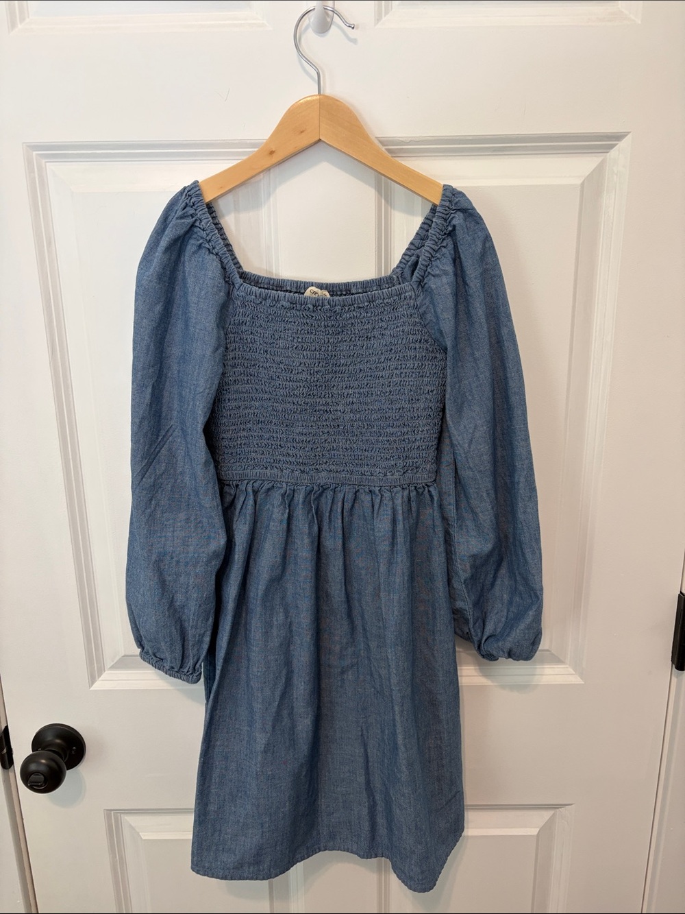 Crewcuts Blue Smocked Denim Dress with Puff Sleeves